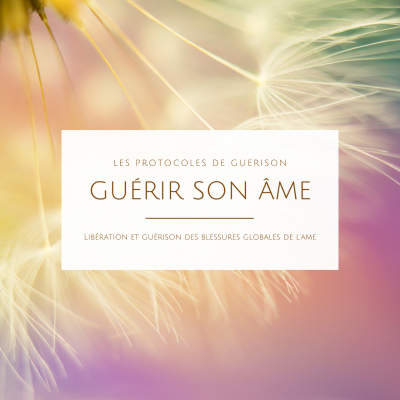 Les protocoles 2